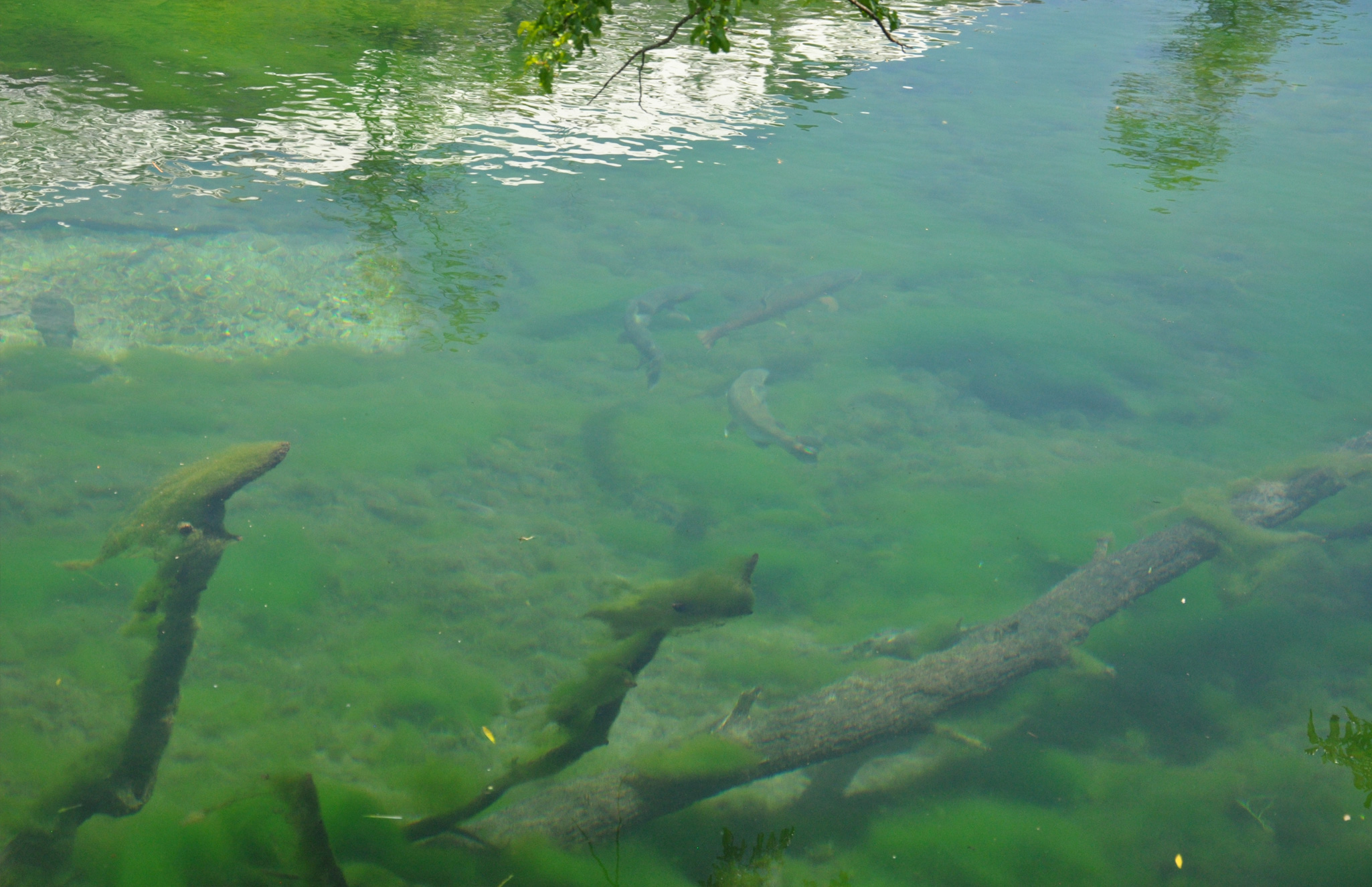 equipo_lago_verde_patagonia_banner_fondo_2050x1325