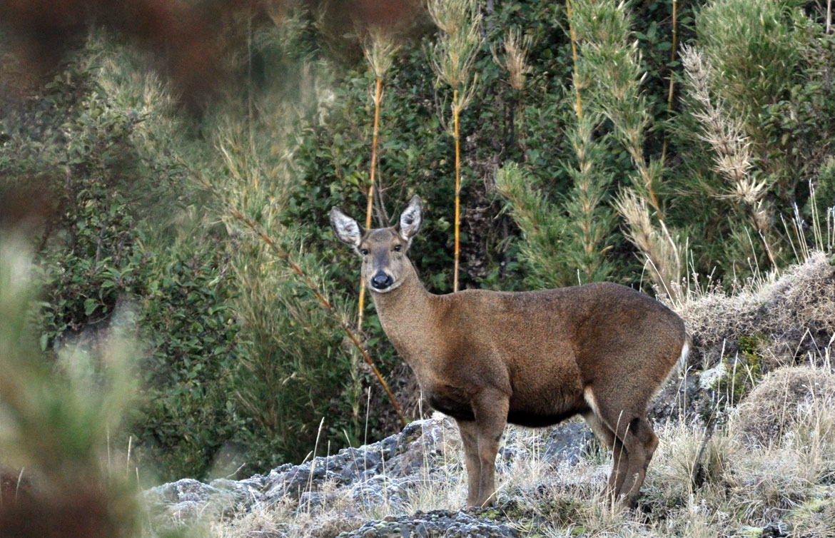 galeria_actualidad_1170x754