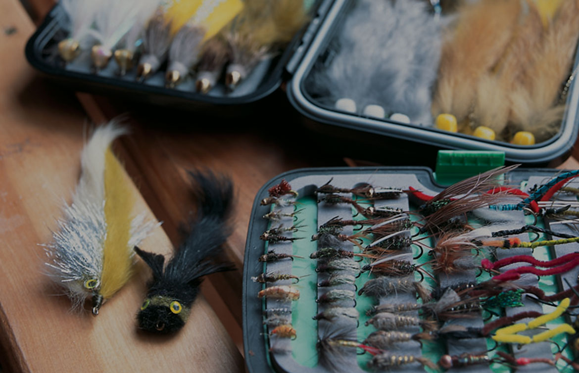 galeria_actualidad_pesca_1170x754