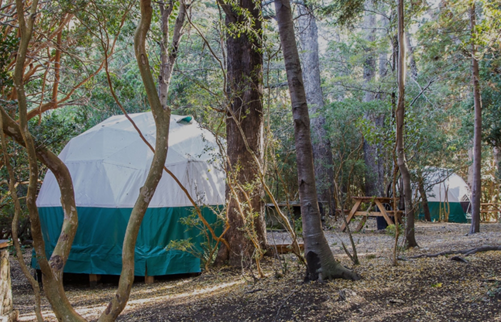 galeria_domos_domo3_1170x754