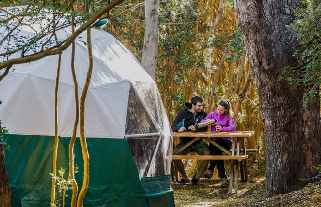 galeria_domos_domo5_1170x754