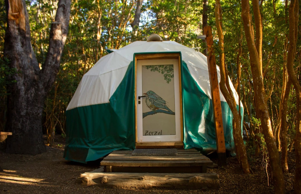 galeria_domos_domo_nuevo_1170x754