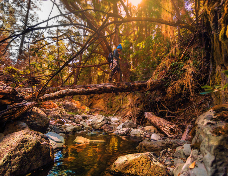 Carrusel_home_1170x904_trekking